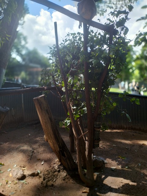 IMG 20220313 134553 HDR