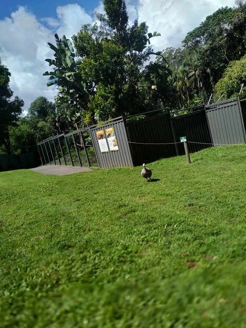 IMG 20220313 134806 HDR