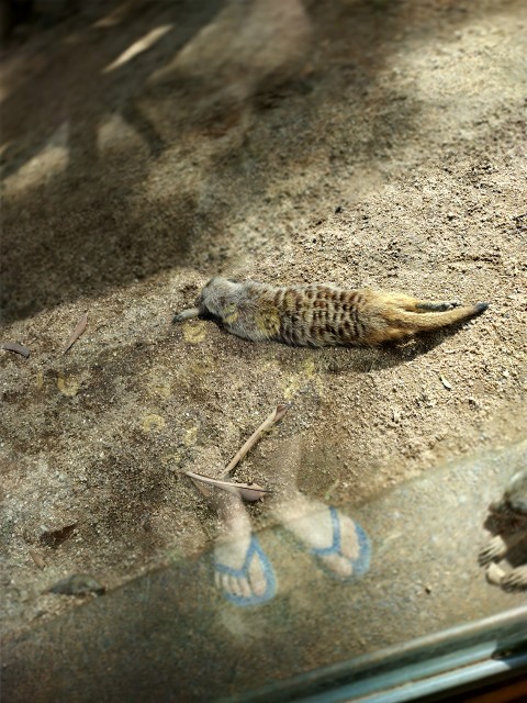 IMG 20220313 135809 HDR